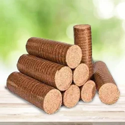 Wood Biomass Briquettes