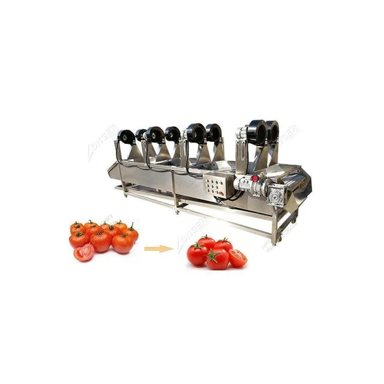 tomato-dehydration-plant-2.webp