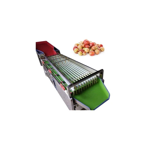 tomato-grading-machine.webp