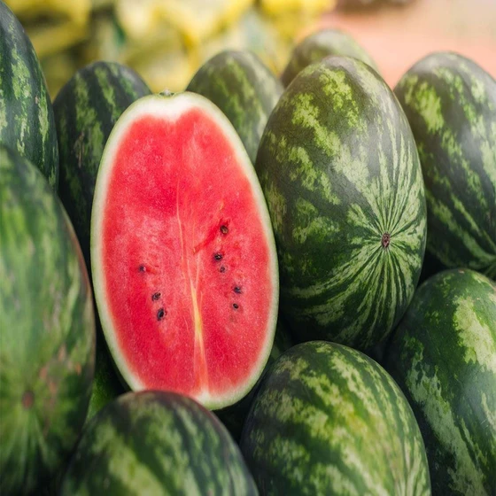 common-fresh-watermelon-2.webp