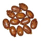 Castor Fresh Seeds