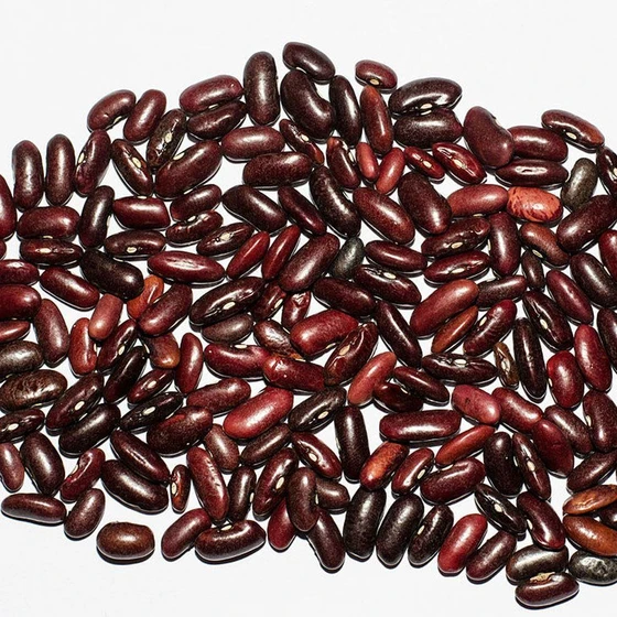 long-rajma-bean-seeds-2.webp