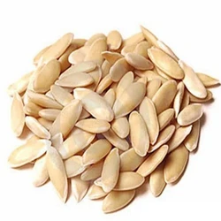 Purity Cucumber Seeds