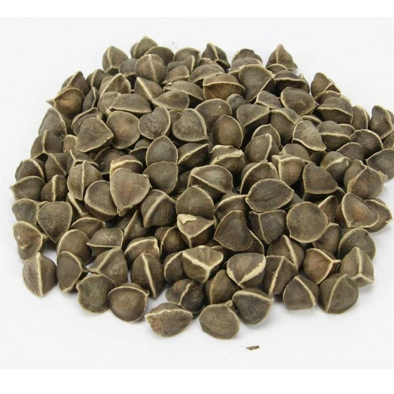 brown-drumstick-seeds-1.webp