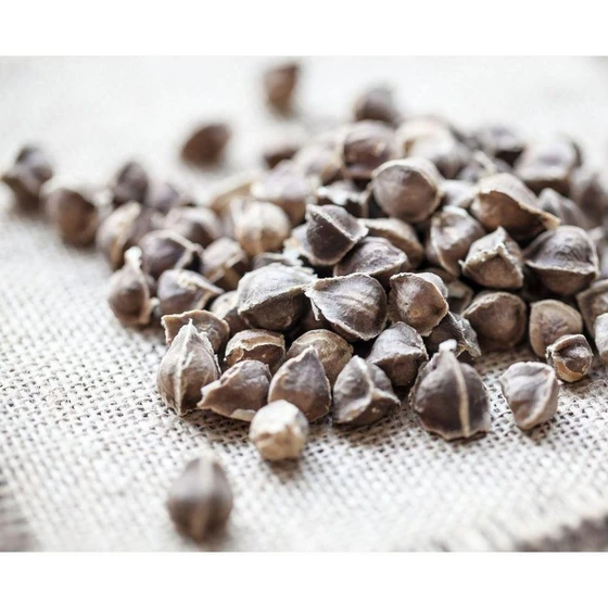 brown-drumstick-seeds-2.webp