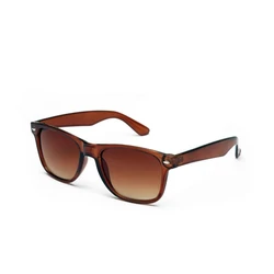 Wayfarer Fashion Sunglasses