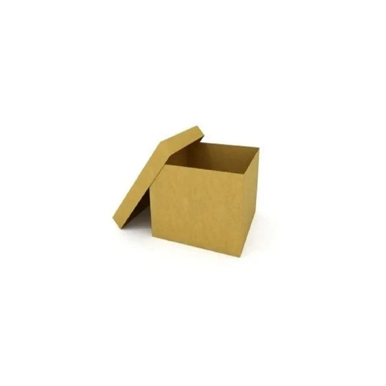 paper-mono-carton-box-2.webp