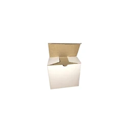 Paper Mono Carton Box