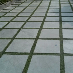 Stone grey kota