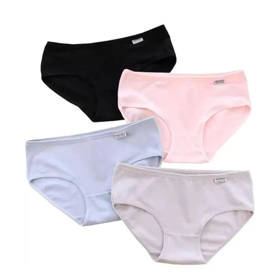 ladies-plain-brief-2.webp