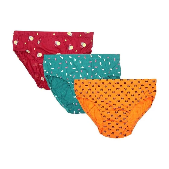 ladies-printed-brief-2.webp