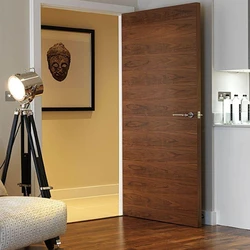 Best Laminated Door