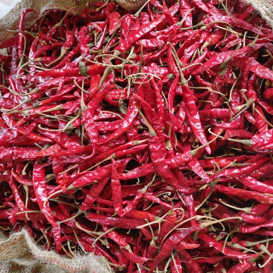 teja-chillies.webp