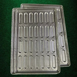 Cream Buns Tray 