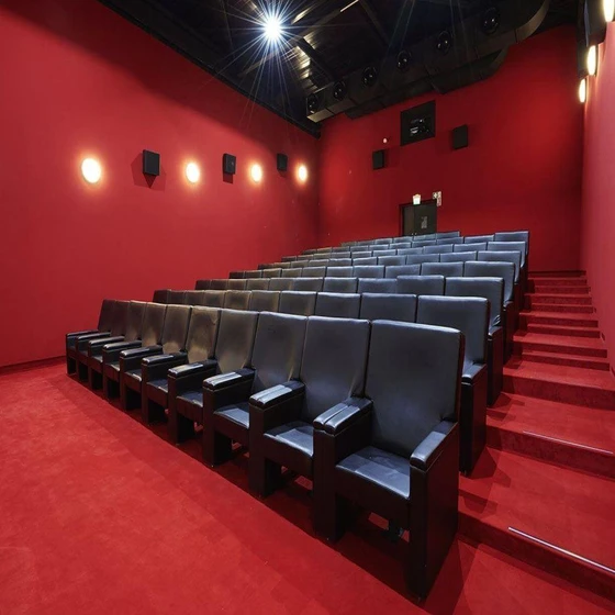 red-theater-carpets-2.webp