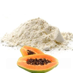 Papain Enzyme Powder