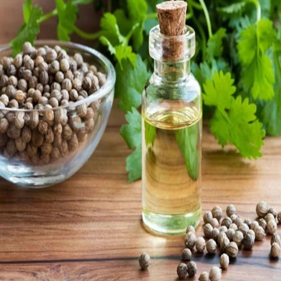 seed-coriander-oil-2.webp