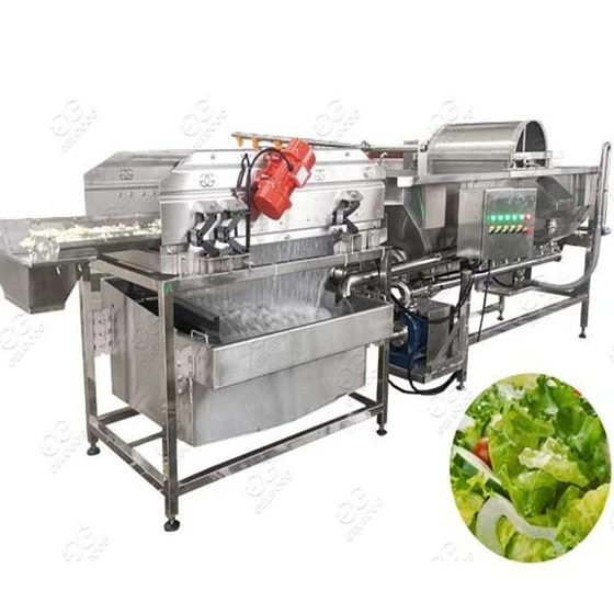 vegetables-washing-machines-2.webp
