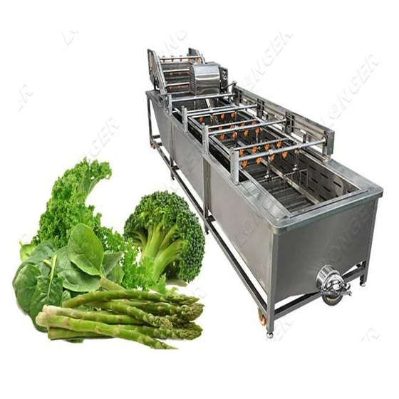 industrial-vegetable-washer-2.webp