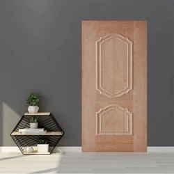 Door Skin Panel