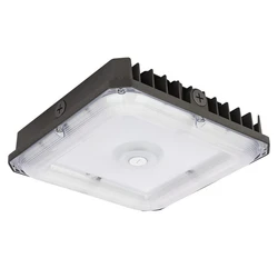 Canopy LED Luminaires