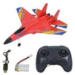 Remote Control Wing Plane