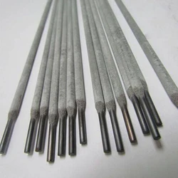 Stainless Steel Electrodes