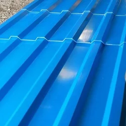Blue Profile Sheet