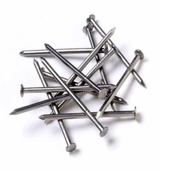 Ss Wire Nails