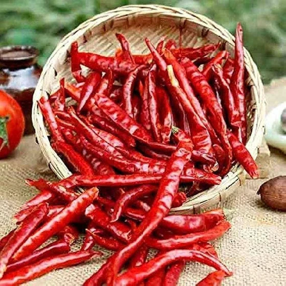 whole-dry-red-chilli-2.webp