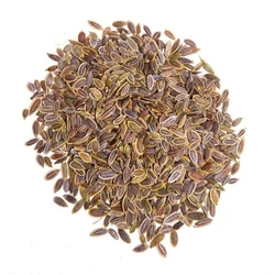 Natural Dill Seeds — Green leaf grassy flavor