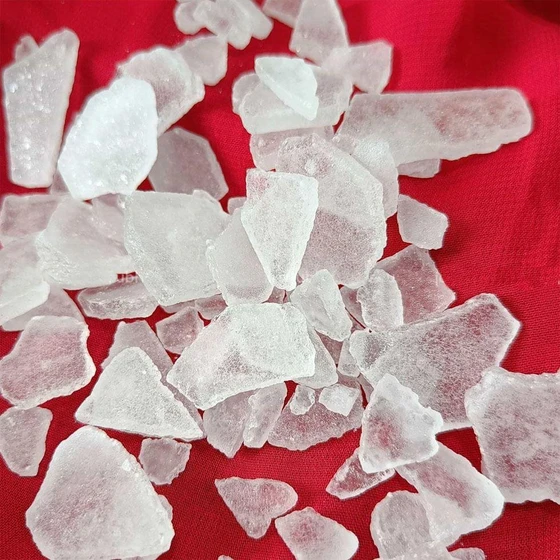 camphor-2.webp