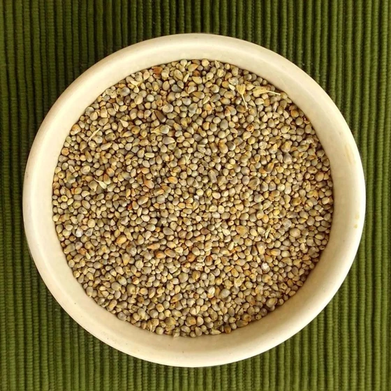 natural-pearl-millet-2.webp