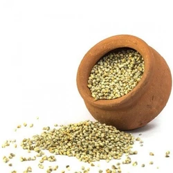 Natural Pearl Millet
