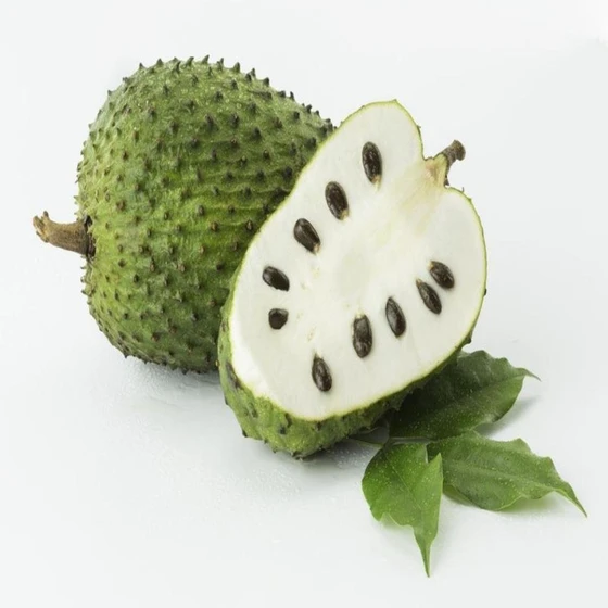 fresh-soursop-fruit-2.webp