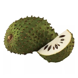 Fresh Soursop Fruit