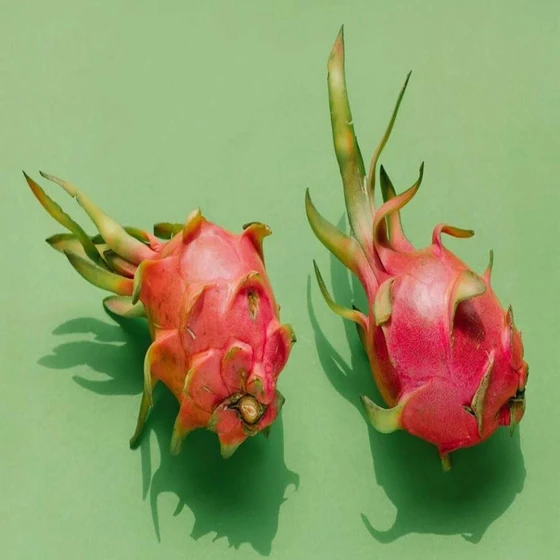fresh-dragon-fruit-2.webp