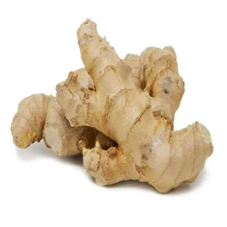 Kitchen Organic Ginger 