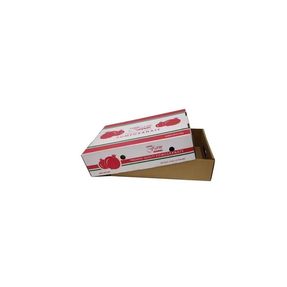 pomegranate-packaging-carton-2.webp