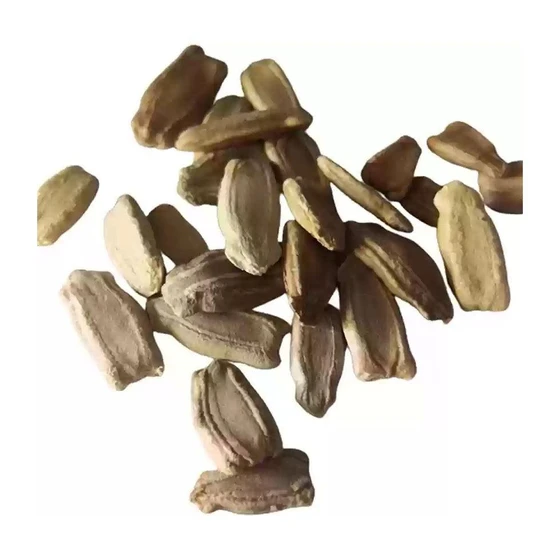 bottle-gourd-seeds-1.webp
