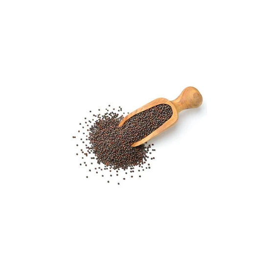 mustard-seed-2.webp