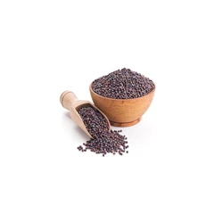 Mustard Seed