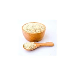 Sesame Seed
