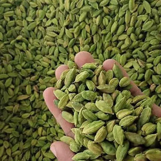 polished-green-cardamom-2.webp