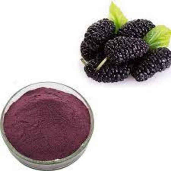 herboil-blackberry-extract-2.webp