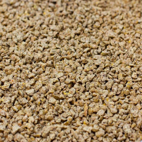 starter-broiler-concentrate-feed-1.webp