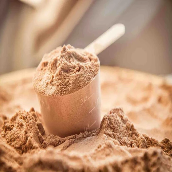 chocolate-protein-powder-2.webp