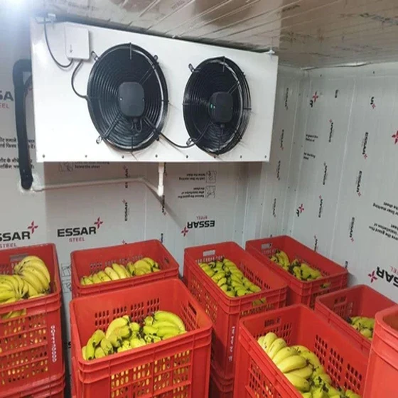 banana-cold-room-2.webp
