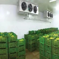 Banana Cold Room