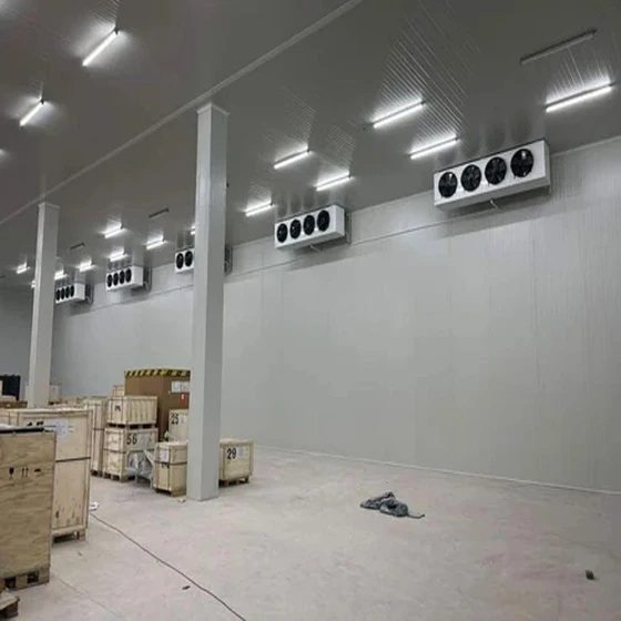 light-white-cold-room-2.webp
